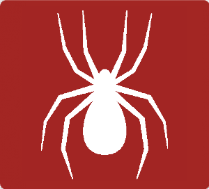 Spiders Pest Control